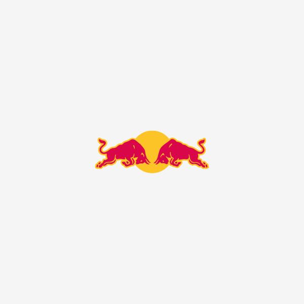 Red Bull Racing