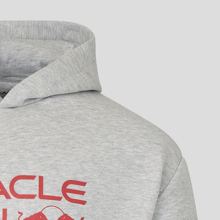 Red Bull Racing F1 Team Castore RBR Logo Graphic Sweatshirt Hoody