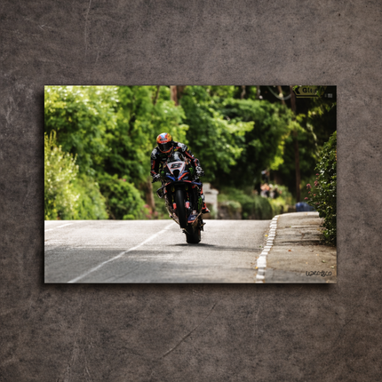 Davey Todd TT Wheelie Wall Art Print