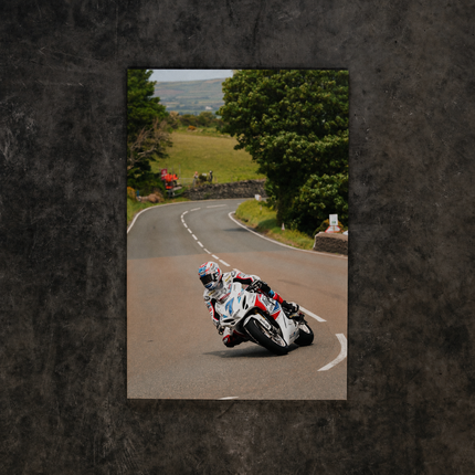 Uggly & Co TT Racing Canvas Wall Art